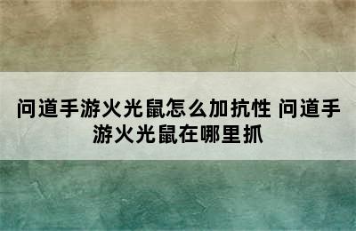 问道手游火光鼠怎么加抗性 问道手游火光鼠在哪里抓